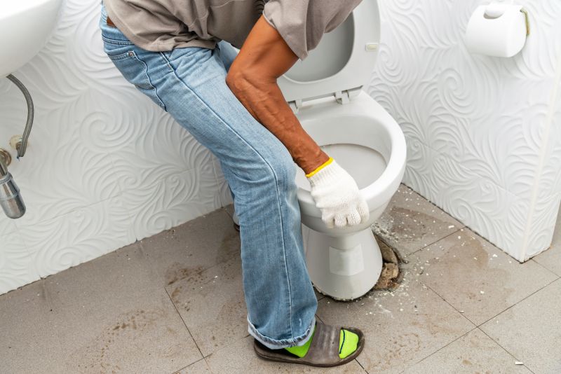 Toilet Snaking detail