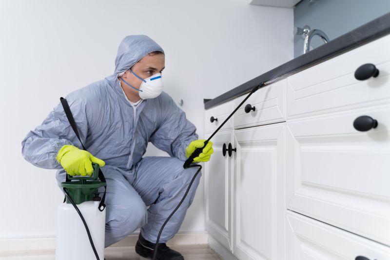 Cricket Removal Service