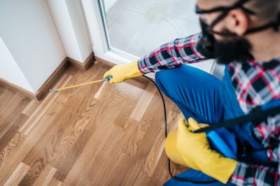 Flea Extermination