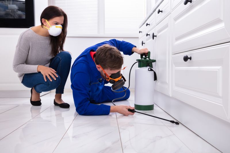 Fly Infestation Extermination