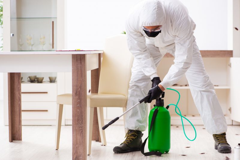 Fly Infestation Extermination
